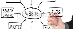 Website Design